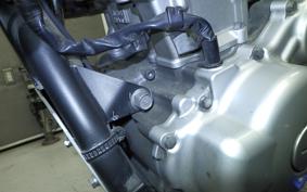YAMAHA WR250X DG15J