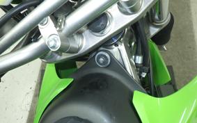 KAWASAKI KLX230S 2010 LX232A