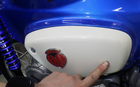 HONDA C110 SUPER CUB JA44