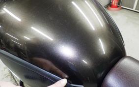 KAWASAKI W800 CAFE 2020 EJ800B