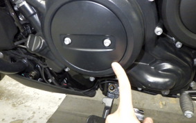 HARLEY ﾊﾟﾝ AMERICA1250ST 2025