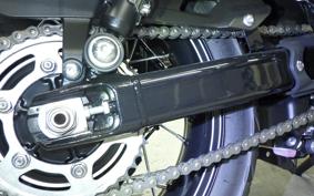 TRIUMPH SCRAMBLER 900 2024