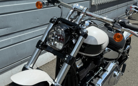 HARLEY  HARLEY FXBR 2025 YEZ