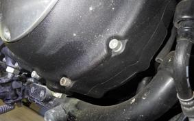 HARLEY XL1200CB 2012