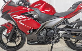 KAWASAKI NINJA 250 EX250P