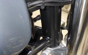 BMW R NINE T PURE 2019