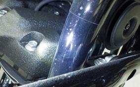HARLEY FXLRST1920 2026