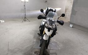 TRIUMPH TIGER 800 TRE15B