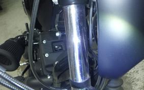 HARLEY XL1200NS 2021