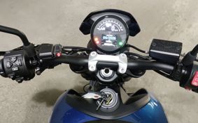 TRIUMPH TRIDENT 660 TRIBUTE 2025 L21U45