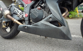 KAWASAKI Z250 ER250C
