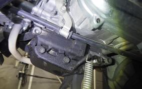 HONDA ZOOMER 2025 AF58