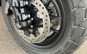 HARLEY FXFBS 2024 YLK