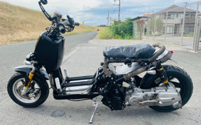 HONDA DIO AF56