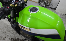 KAWASAKI ZRX1200 R 2009 ZRT20A