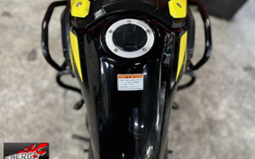 SUZUKI V-STROM 250 ABS DS11A