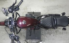 HARLEY XL1200NS 2019