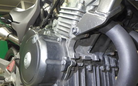 HONDA HORNET 250 2022 MC31