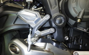 TRIUMPH TRIDENT 660 2023