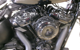 HARLEY FXBB 2019 YJJ