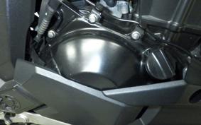 KAWASAKI VERSYS-X 250 A 2009 LE250D