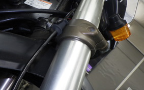 KAWASAKI KLX250 2024 LX250E