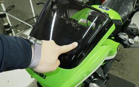 KAWASAKI ZRX1200 D 2017 ZRT20D