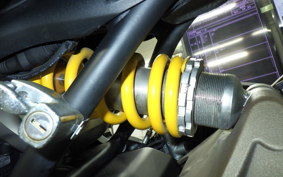 DUCATI MONSTER 821 2014