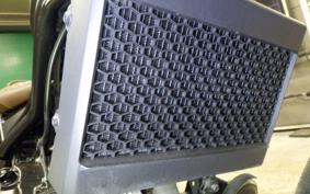 HONDA REBEL 250 S MC49