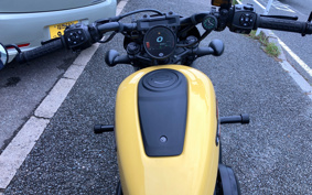HARLEY RH975Sナイトスター 2024 ZF1