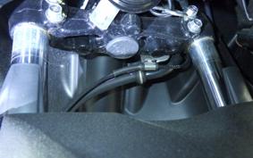 YAMAHA CYGNUSｸﾞﾘﾌｧｽ SEJ4J