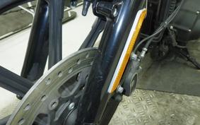 HARLEY XL1200NS 2018