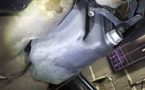 YAMAHA YZF-R7 2023 RM39J