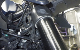 KTM 250 ADVENTURE 2024