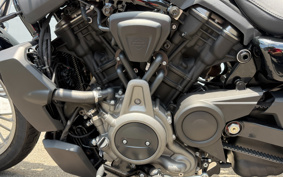 HARLEY RH975S NIGHT STAR 2023 ZF1