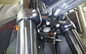 KTM 1290 SUPER DUKE R 2025