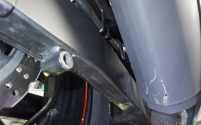 KAWASAKI NINJA 250 EX250L