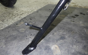 TRIUMPH SCRAMBLER400X 2024