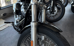 HARLEY FXST1340-1450 2020 BVJ