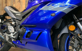 YAMAHA YZF-R25 RG43J
