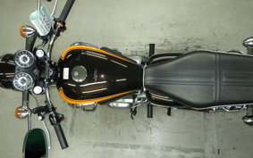 KAWASAKI W800 2019 EJ800A