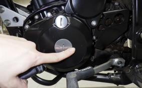 KAWASAKI KLX250D TRACKER X 2021 LX250V