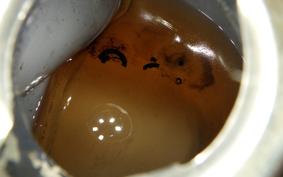 HARLEY FLH 1200 2009