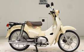HONDA C110 SUPER CUB 2010 JA59