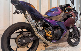 KAWASAKI NINJA 250 EX250P