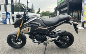 HONDA GROM JC75