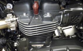 TRIUMPH BONNEVILLE T100 2025