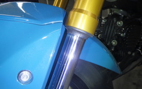 KAWASAKI Z125 PRO BR125H