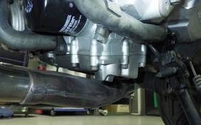 YAMAHA FZ1 FAZER 2009 RN21J