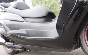 YAMAHA GRAND MAJESTY 250 SG15J